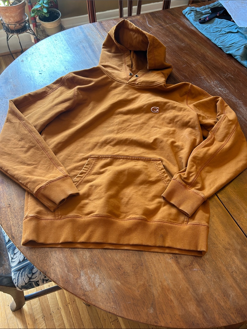 Coach Men's Hooded Pullover in Caramel